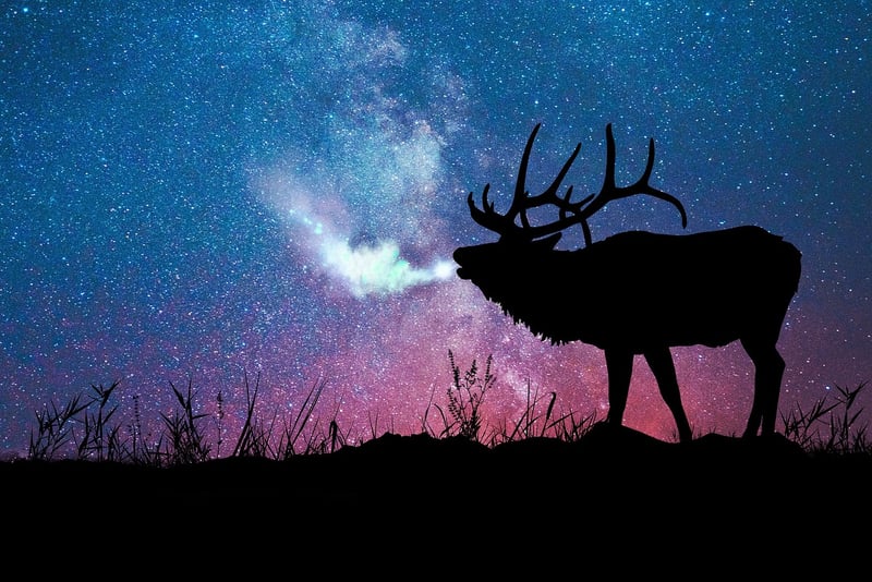 Galaxy Inspired