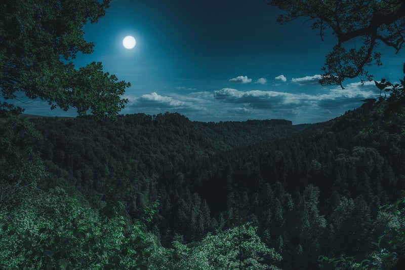 Waning Gibbous Moon